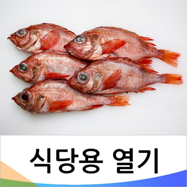 자반고래밥 식당용 열기(불볼락) 손질열기 두절열기 기타생선, 1박스, 4.두절열기(소) 70~100g 55마리내외