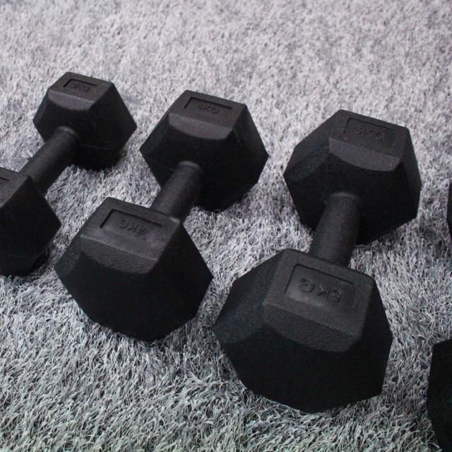 대한스포츠 육각아령 2~10kg, 5kg