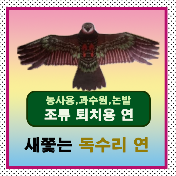 [고급형]새쫓는독수리연 (까치 까마귀 참새 등 조류퇴치), 1개