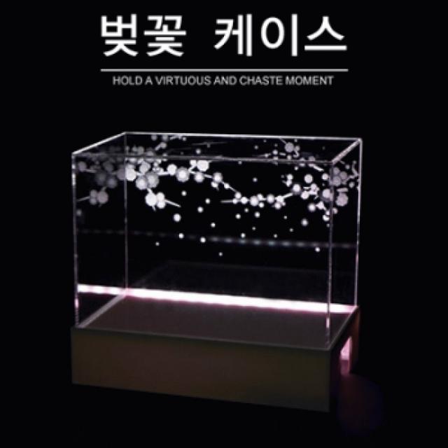 [AJH_3417041] 벚꽃 케이스(Cherry blossom case) 전시상자 전시장 조명상자 진열상자 모형케이스, 단일상품