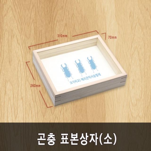 충우곤충박물관 곤충 표본상자(소), 1개