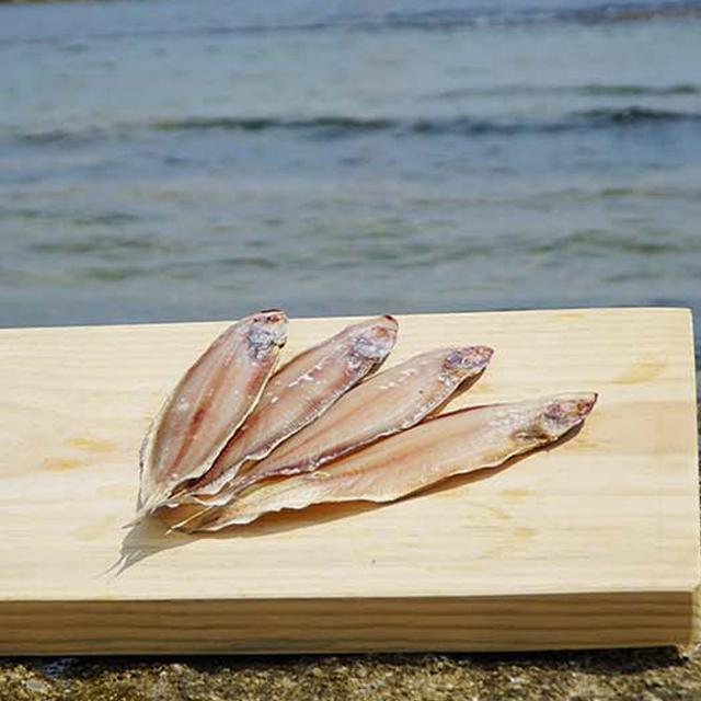 사그담 속초 중앙시장 맛집 반건조 박대 30cm 3마리, 단품