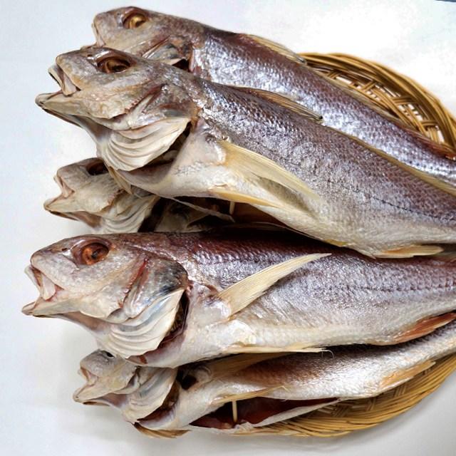 사그담 속초 중앙시장 맛집 반건조 냉동민어 대서양조기속 36cm 3마리 단품