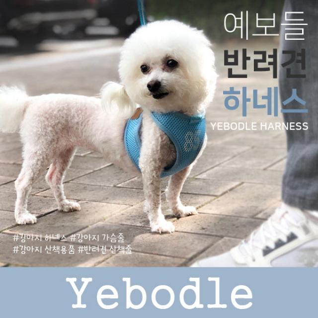 예보들 하네스, 블루