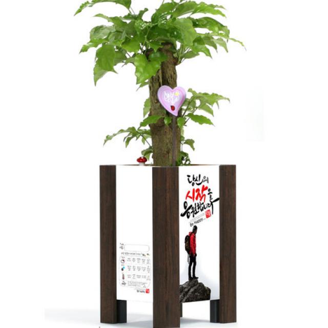 미나의정원 준중형 메세지 액자화분, 14 제발돈벼락