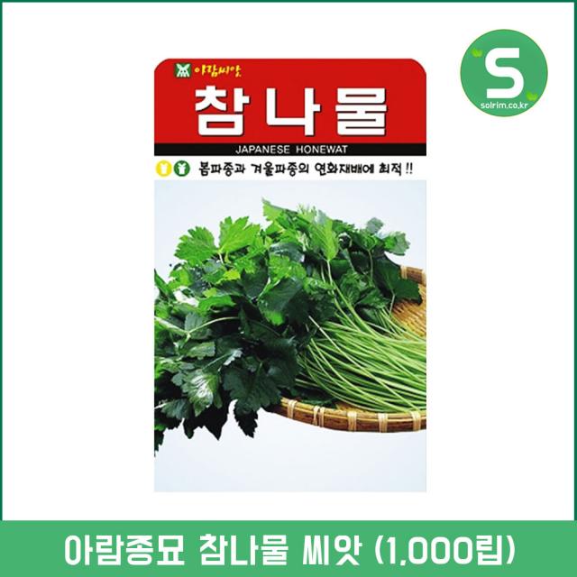 솔림텃밭몰 참나물씨앗 1000립 참나물 산채나물 재래종 아람씨앗