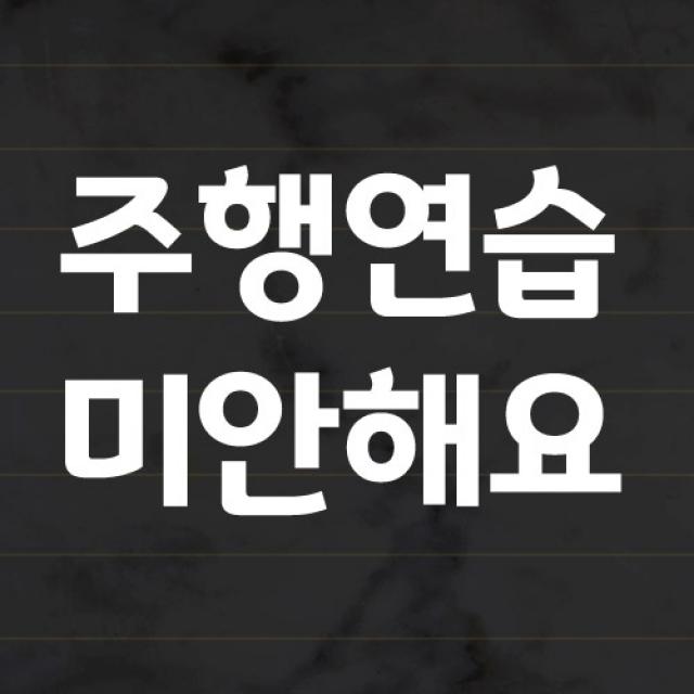 더굿데이 초보운전 스티커 반사시트지 심플서체 42종, 35_주행연습 미안해요