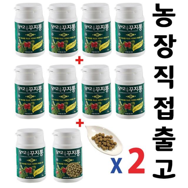 당앤고 고성꾸지뽕 환 + 건초사은품, 30g, 20통