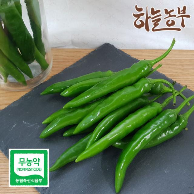 하늘농부 친환경 청양고추 100g, 1봉