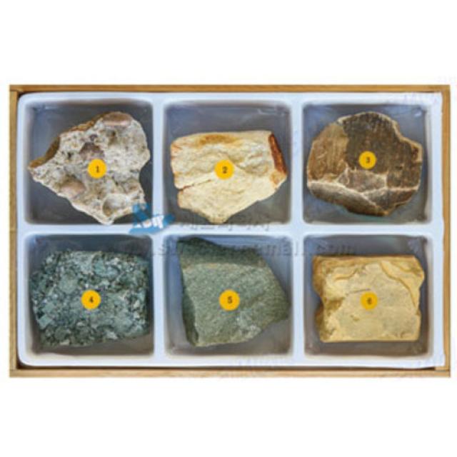 교과서에나오는 퇴적암 6종세트(붙임 딱지포함)