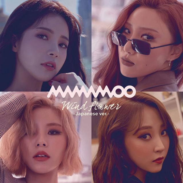 마마무 Wind Flower -Japanese ver.- 초회한정판A DVD, 초회한정판A+로고스티커(예약/선착/한정)