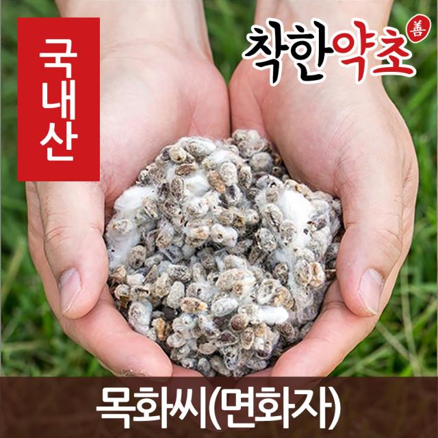 국내산 목화씨(면화자) 200g, 1개
