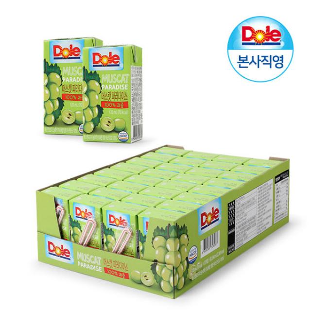 Dole 돌 과즙100% 머스캣 파라다이스 120ml 32팩 1박스 포도 주스, 단품