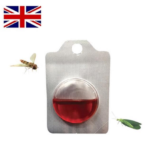 보키니 영국해충방제 무당벌레 풀잠자리 꽃노린재 꽃등에 총채벌레 온실가루이 진딧물 천적유인제, 1개