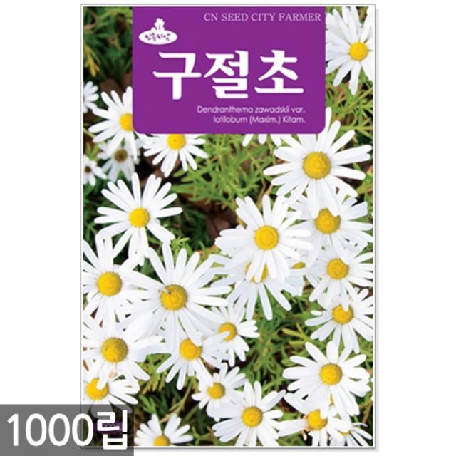 구절초 씨앗 1000립 / 구절초씨앗 구절초씨 꽃씨앗 꽃씨 씨 야생화씨앗 야생화 야생꽃씨 들국화 구일초, 01_청농_구절초(1000립)