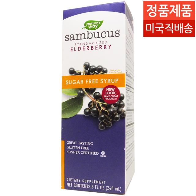 Natures Way 네이쳐스웨이 삼부커스 엘더베리 무설탕 시럽 240 ML, 1병