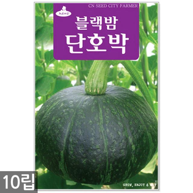 청농종묘 자소엽 씨앗 1000립 자소엽씨앗 자소엽씨 어성초씨앗 차조기씨앗 어성초 차조기, 22_블랙밤단호박(10립)