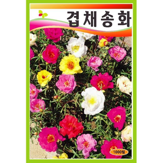 씨앗 겹채송화 혼합 1000립