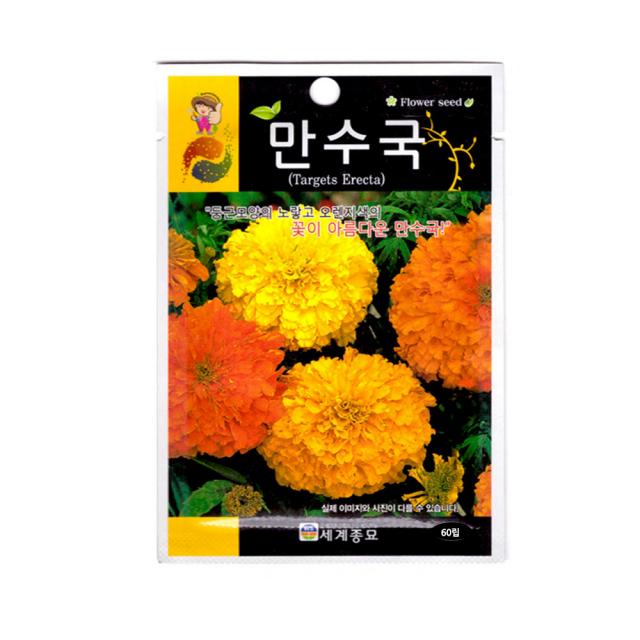 모칸도 무배 세계 만수국 꽃씨 60립 